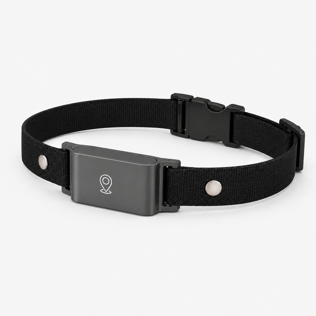 Miaou & Co Collier Gps pour Chat sans Abonnement