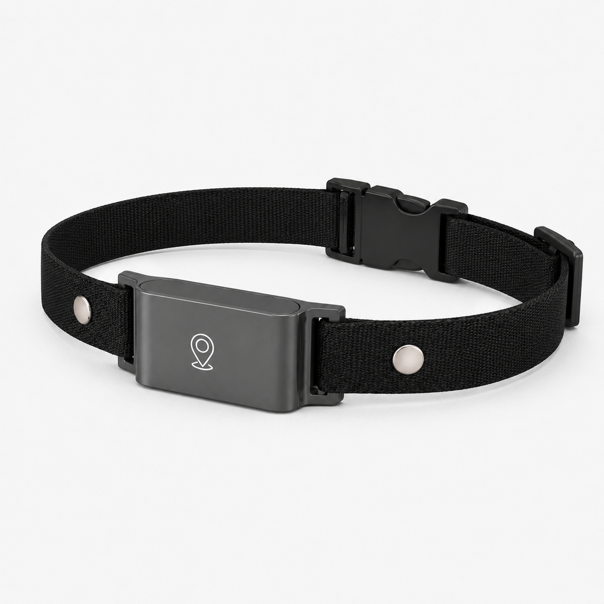 Miaou & Co Collier Gps pour Chat sans Abonnement