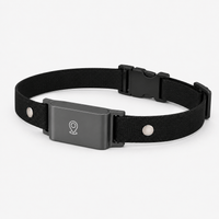 Miaou & Co Collier Gps pour Chat sans Abonnement