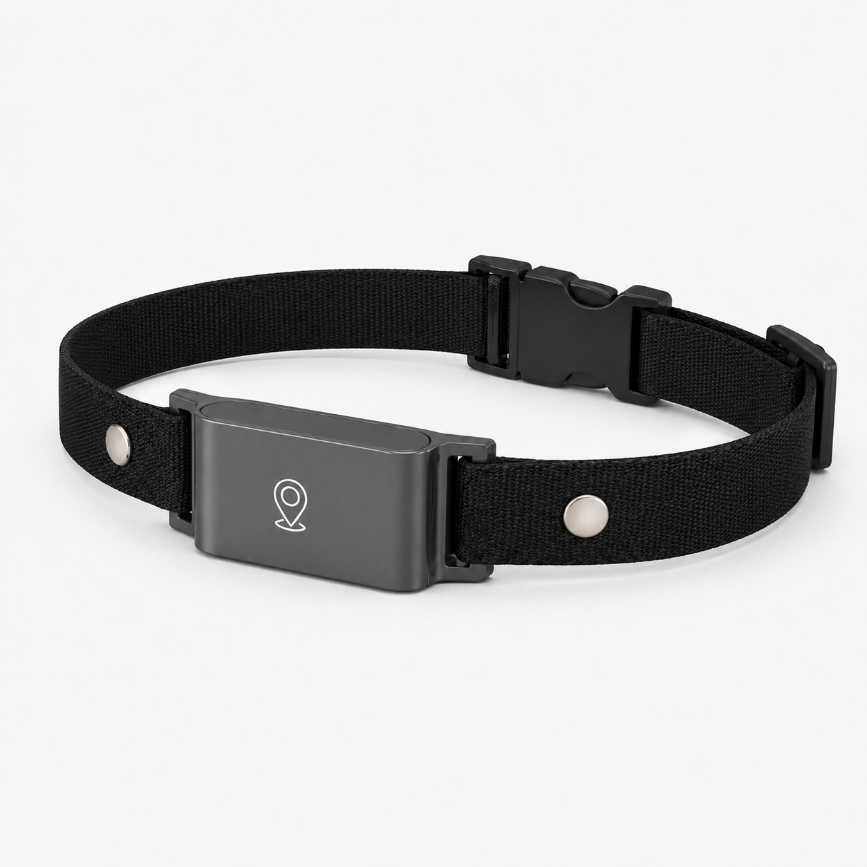 Miaou & Co Collier Gps pour Chat sans Abonnement