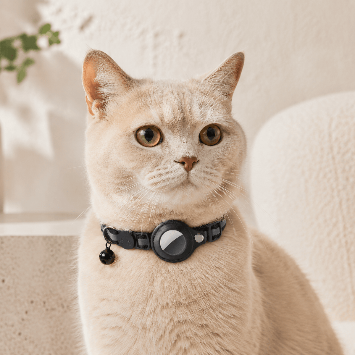 Miaou & Co Collier Support AirTag pour Chat - Localisation Précise