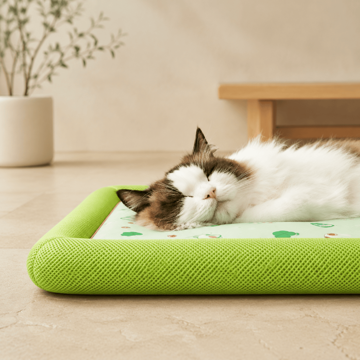 Miaou & Co Coussin Rafraîchissant pour Chat Fraîcheur Instantanée
