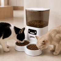 Miaou & Co Distributeur Automatique pour Chat avec Caméra et Double Gamelle - Idéal 2 Chats
