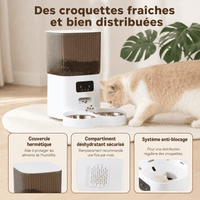 Miaou & Co Distributeur Automatique pour Chat avec Caméra et Double Gamelle - Idéal 2 Chats