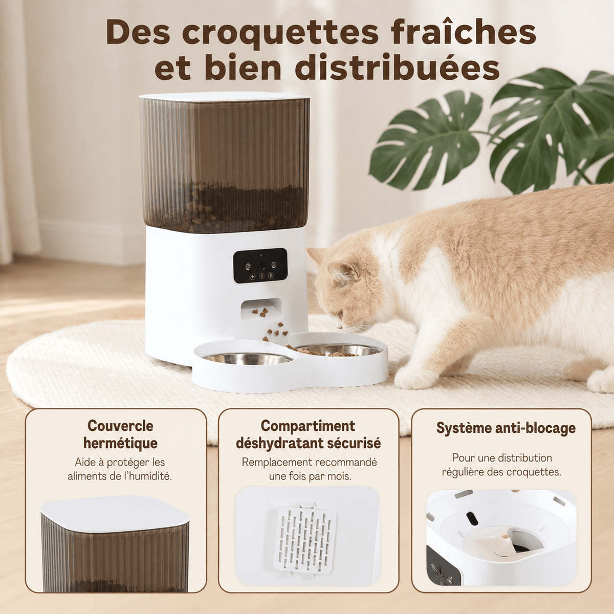 Miaou & Co Distributeur Automatique pour Chat avec Caméra et Double Gamelle - Idéal 2 Chats Image