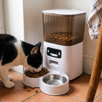 Miaou & Co Distributeur Automatique pour Chat avec Caméra et Double Gamelle - Idéal 2 Chats