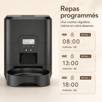 Miaou & Co Distributeur Automatique Programmable de Croquettes pour Chat