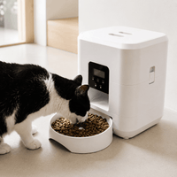Miaou & Co Distributeur Automatique Programmable de Croquettes pour Chat