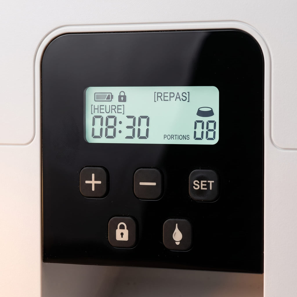 Miaou & Co Distributeur Automatique Programmable de Croquettes pour Chat