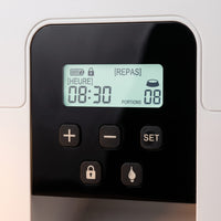 Miaou & Co Distributeur Automatique Programmable de Croquettes pour Chat