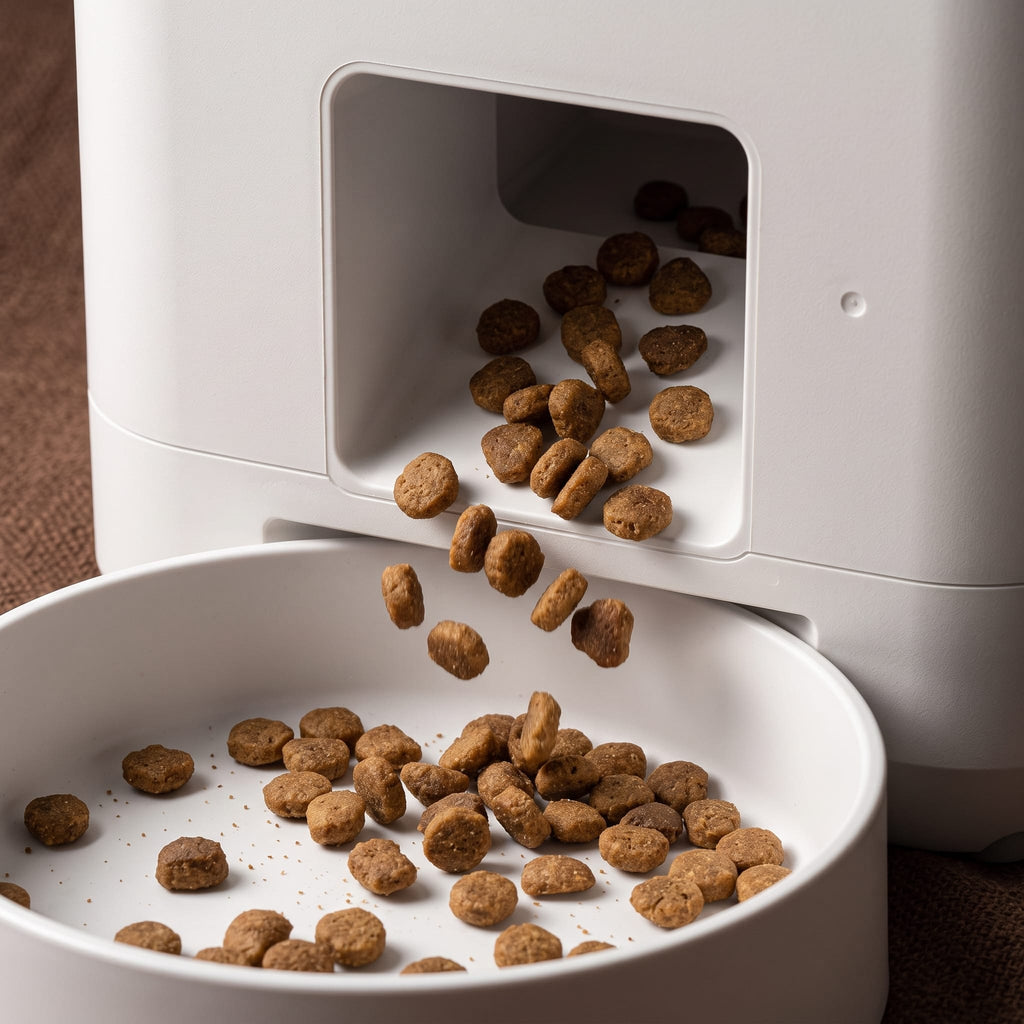 Miaou & Co Distributeur Automatique Programmable de Croquettes pour Chat