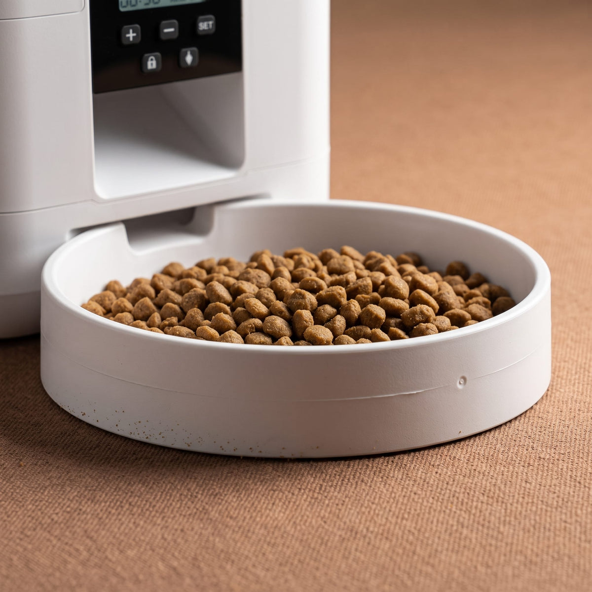 Miaou & Co Distributeur Automatique Programmable de Croquettes pour Chat
