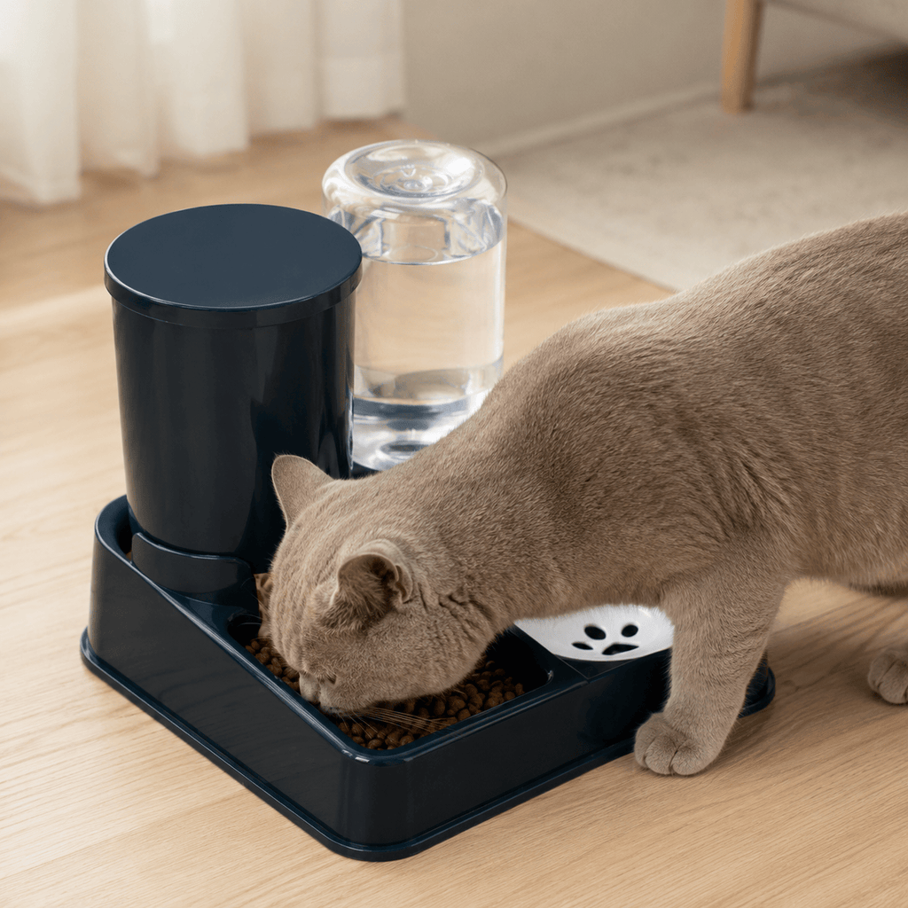 Miaou & Co Distributeur de Croquette et Eau pour Chat