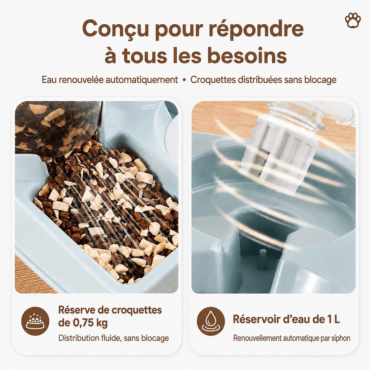 Miaou & Co Distributeur de Croquette et Eau pour Chat