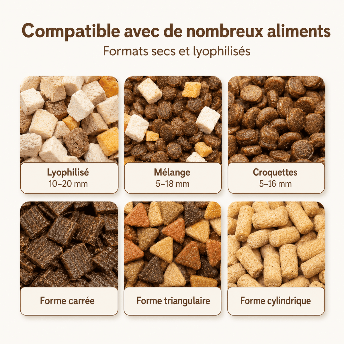Miaou & Co Distributeur de Croquettes 2-en-1 pour Chat avec Fontaine à Eau - Repas et Hydratation