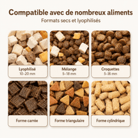 Miaou & Co Distributeur de Croquettes 2-en-1 pour Chat avec Fontaine à Eau - Repas et Hydratation
