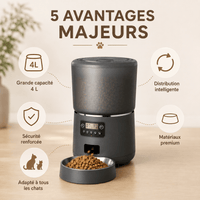 Miaou & Co Distributeur Intelligent de Nourriture pour Chat
