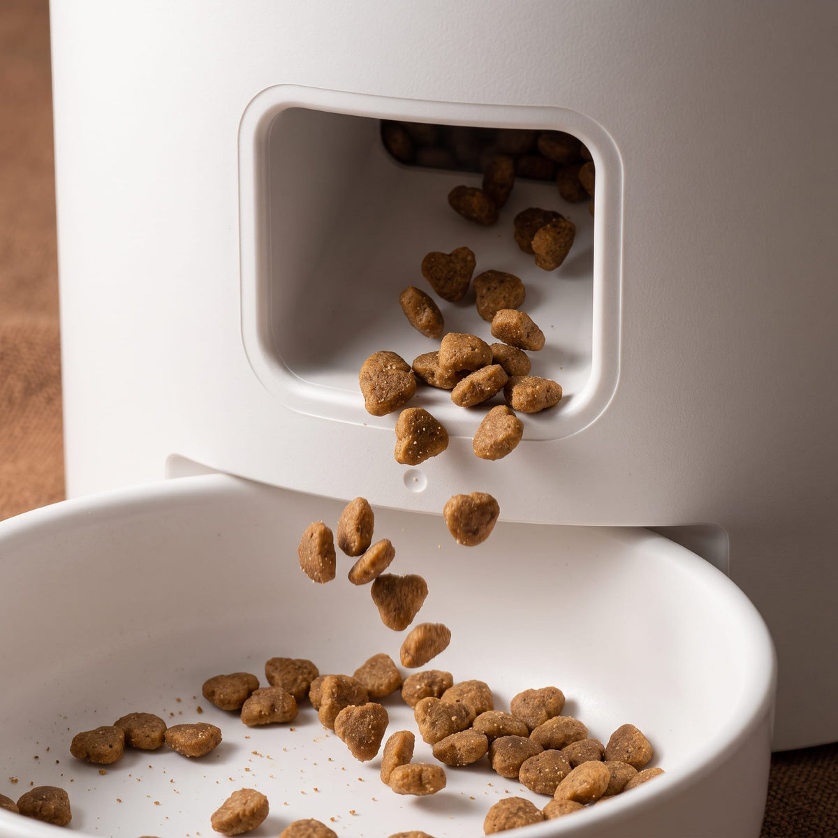 Miaou & Co Distributeur Intelligent de Nourriture pour Chat