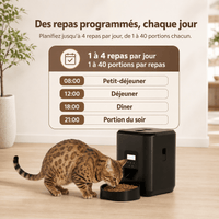 Miaou & Co Distributeur Programmable de Croquettes pour Chat avec Wifi