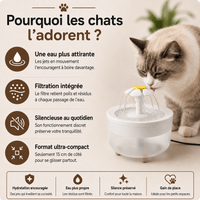 Miaou & Co Fontaine à Eau Chat Fleur