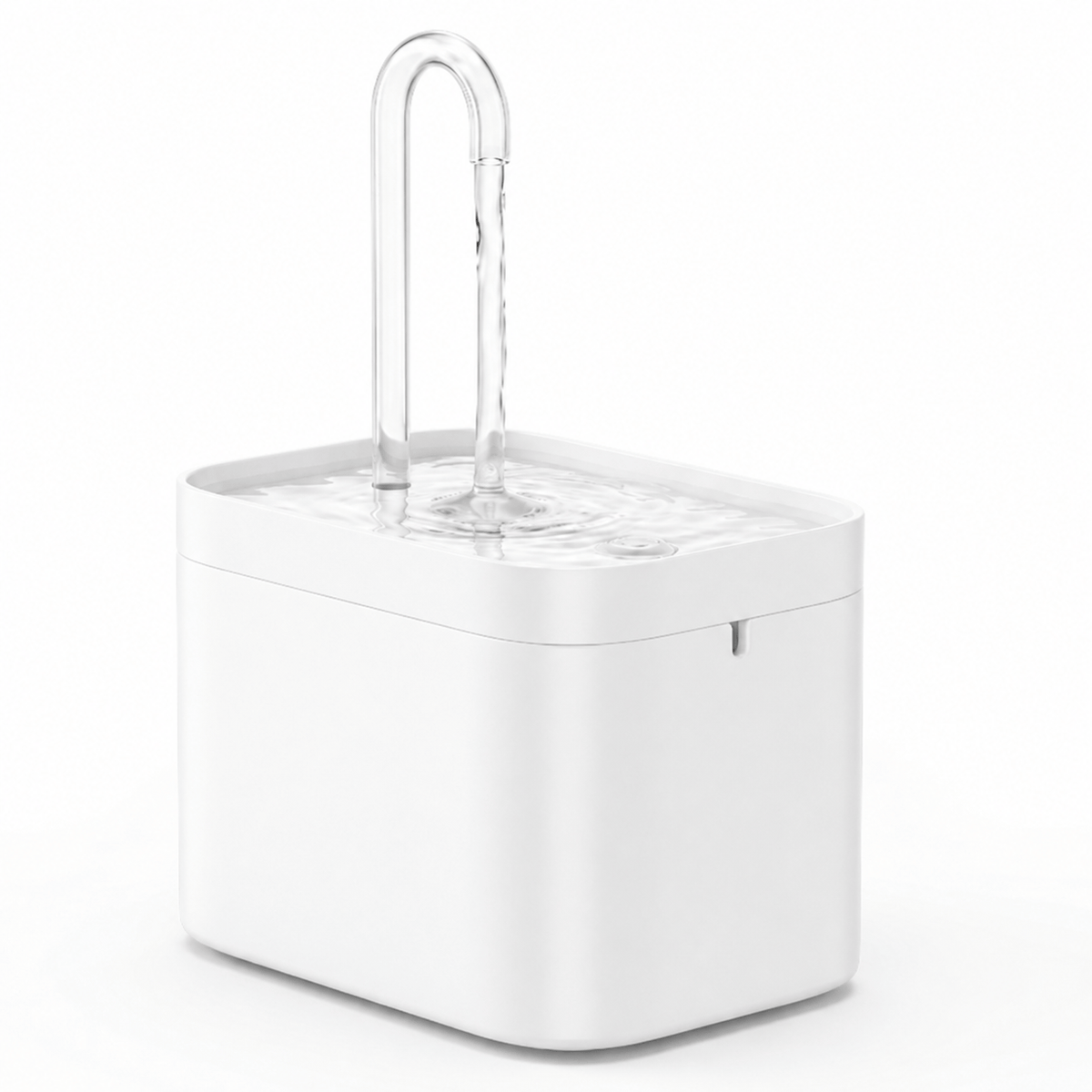 Miaou & Co Fontaine à Eau Chat Ultra-Silencieuse USB