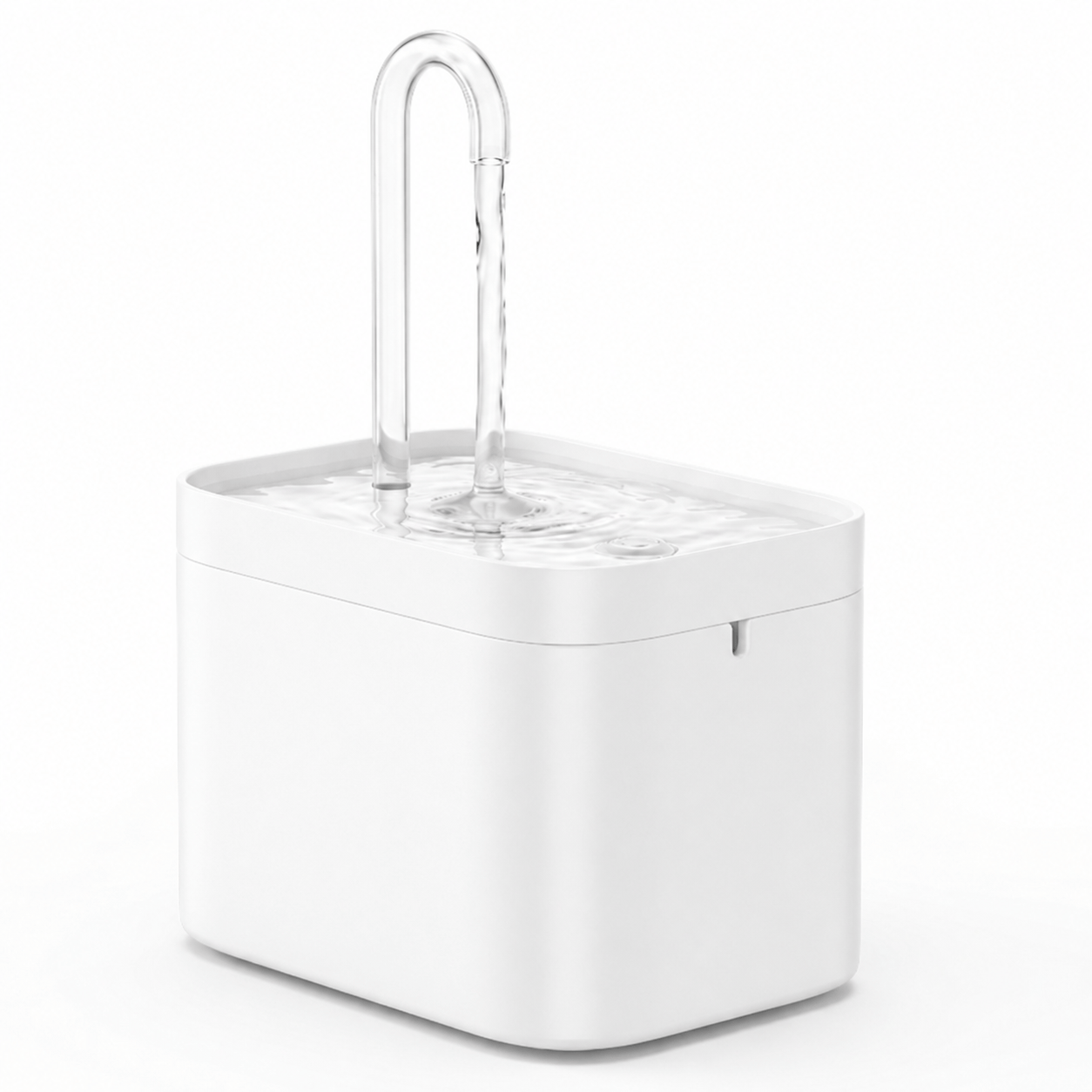 Miaou & Co Fontaine à Eau Chat Ultra-Silencieuse USB
