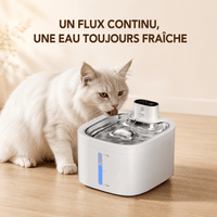 Miaou & Co Fontaine à Eau pour Chat avec Détecteur de Mouvement en Acier Inoxydable