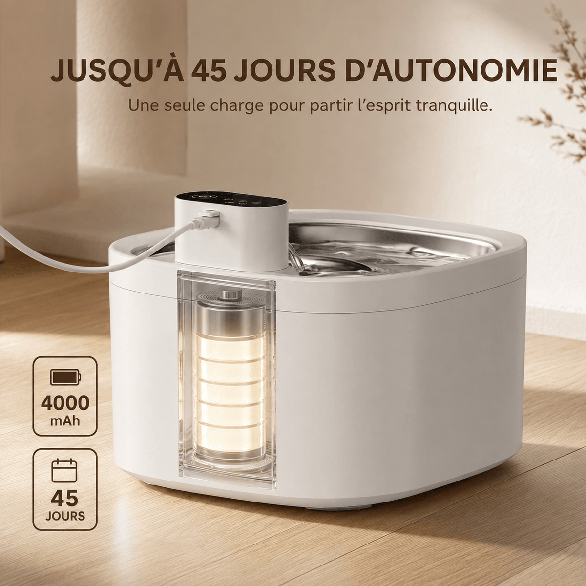 Miaou & Co Fontaine à Eau pour Chat avec Détecteur de Mouvement en Acier Inoxydable