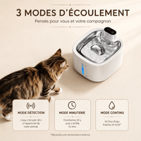 Miaou & Co Fontaine à Eau pour Chat avec Détecteur de Mouvement en Acier Inoxydable