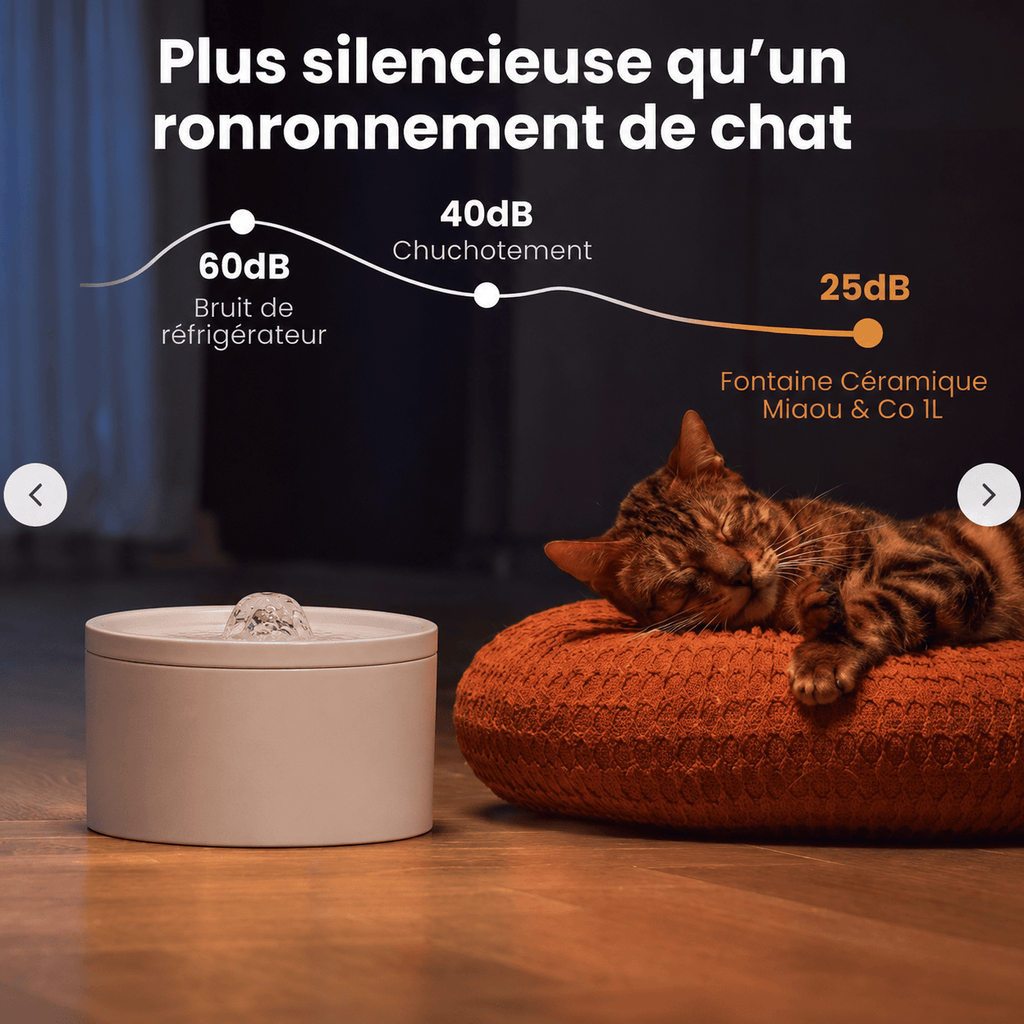 Miaou & Co Fontaine à Eau pour Chat en Céramique 1 L