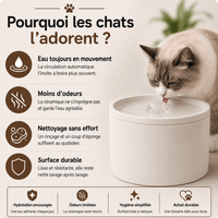 Miaou & Co Fontaine à Eau pour Chat en Céramique 1 L