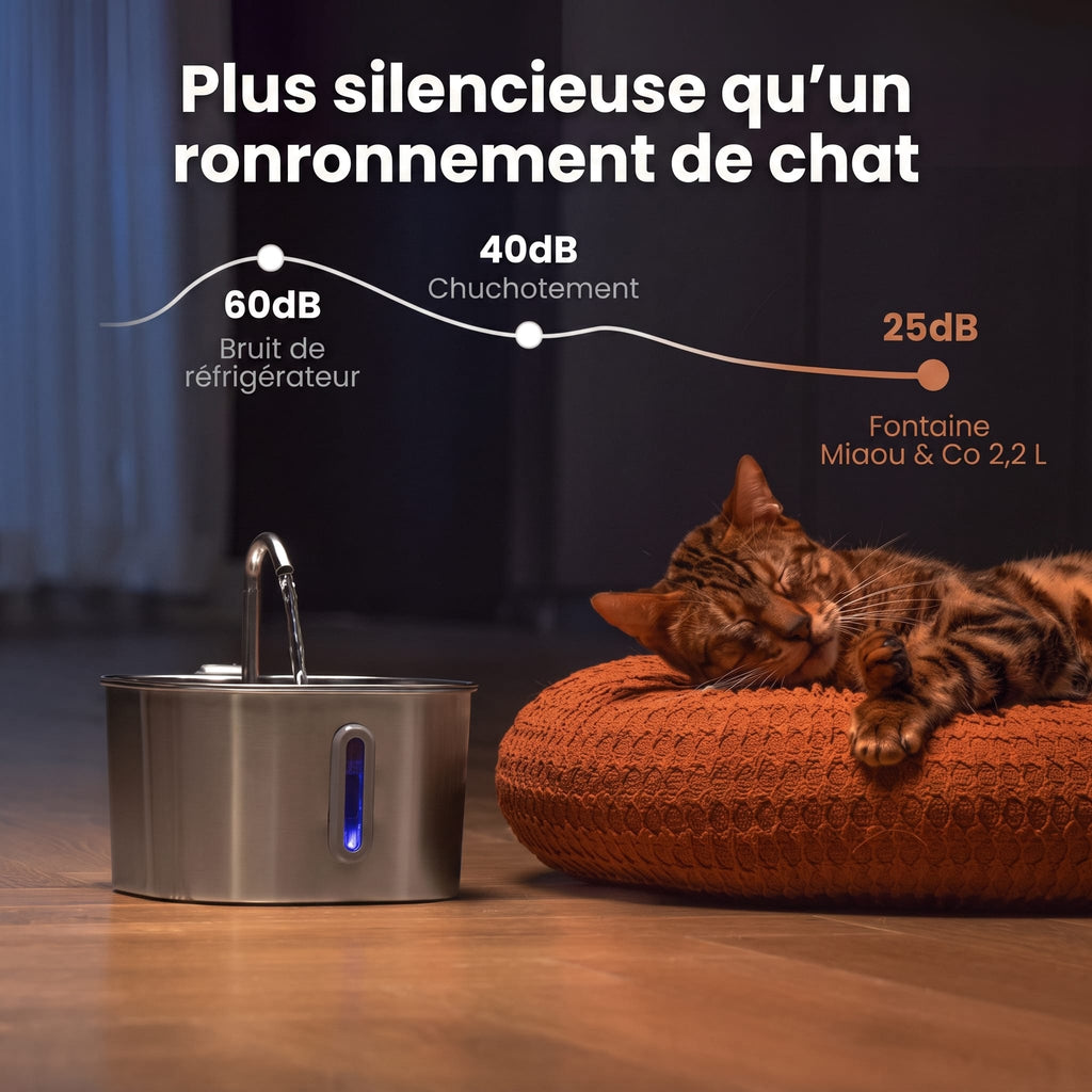 Miaou & co  Fontaine à Eau Pour Chat en Inox Automatique