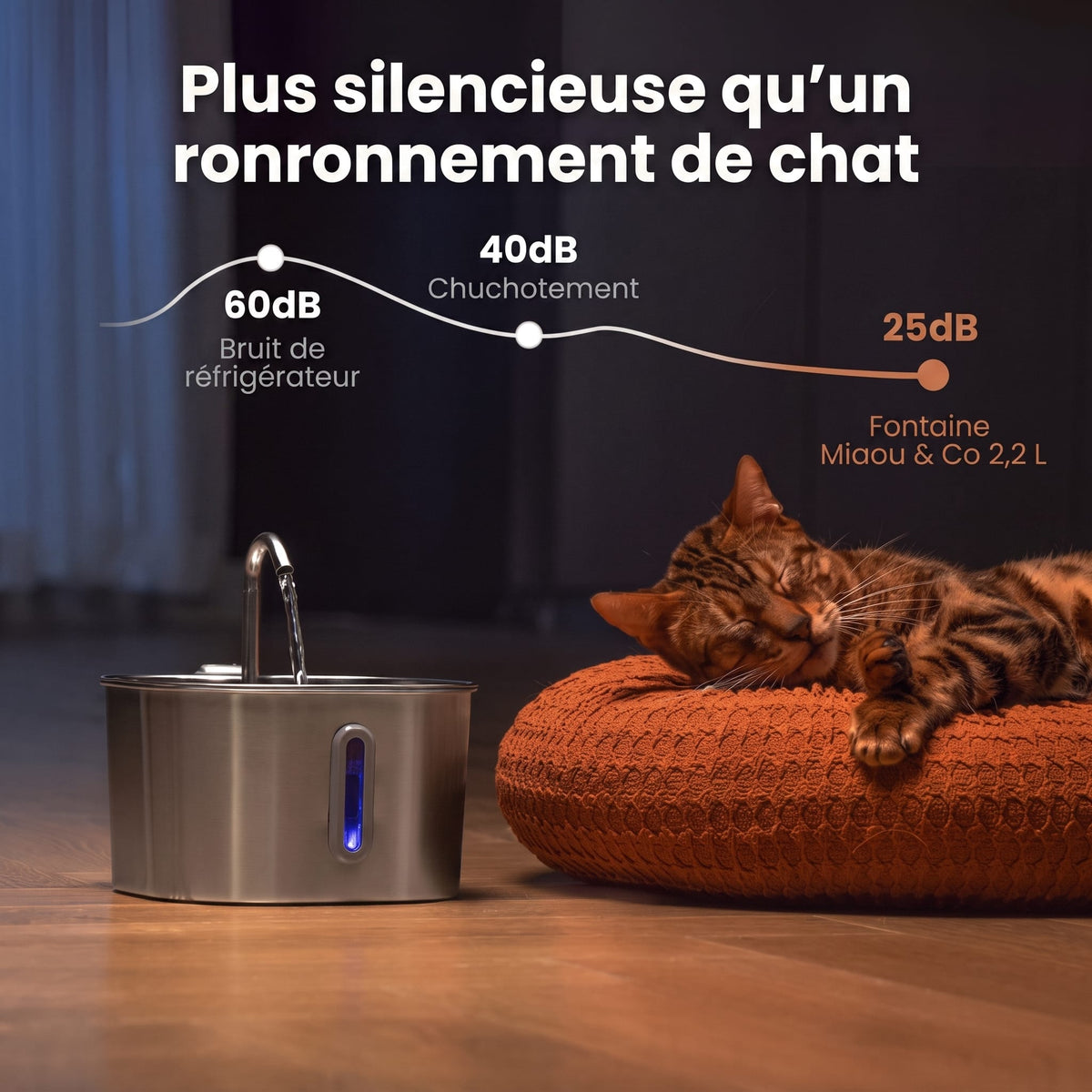 Miaou & co  Fontaine à Eau Pour Chat en Inox Automatique