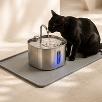 Miaou & co  Fontaine à Eau Pour Chat en Inox Automatique