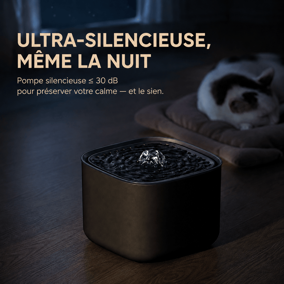 Miaou & Co Fontaine à Eau pour Chat Ultra Silencieuse 3L