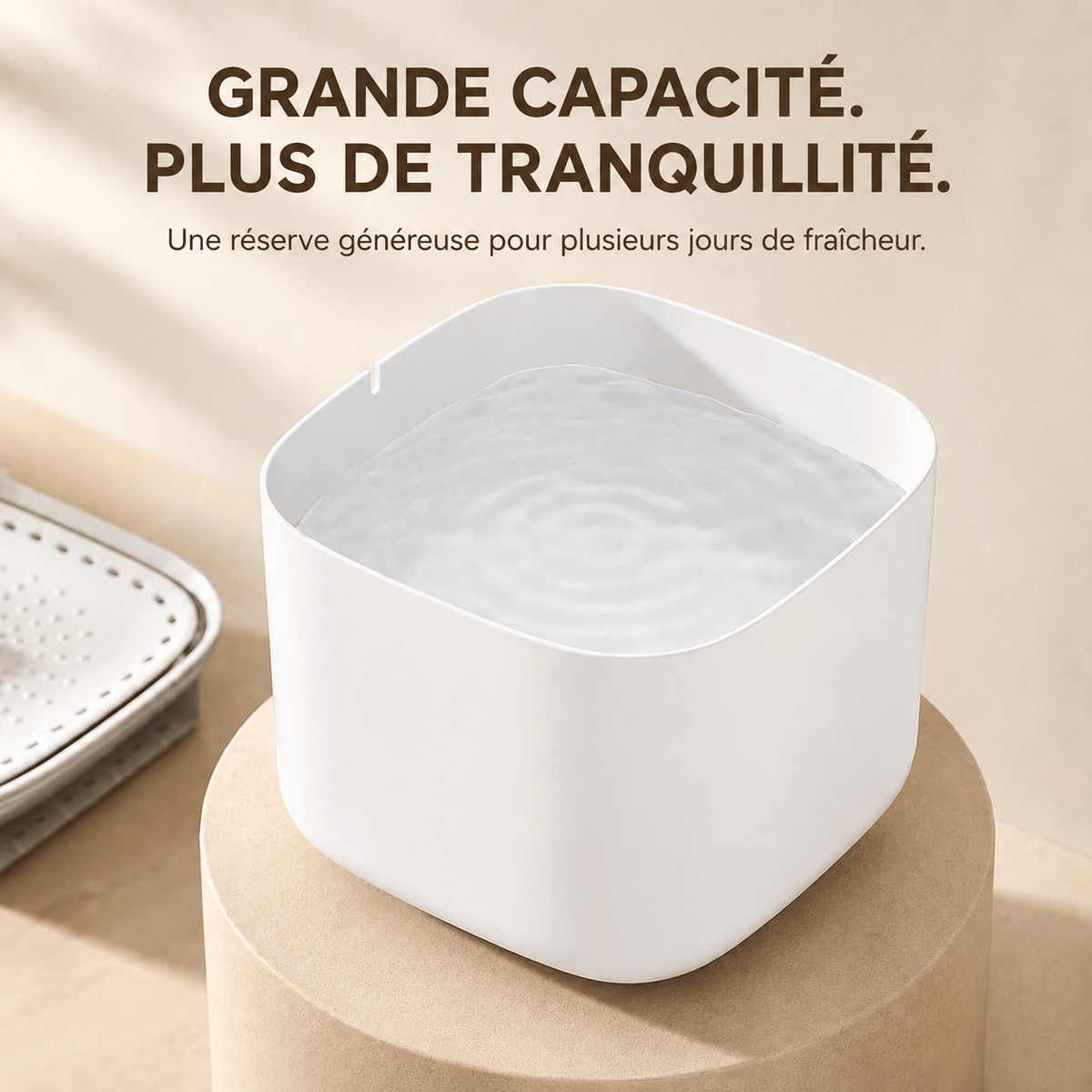 Miaou & Co Fontaine à Eau pour Chat Ultra Silencieuse 3L