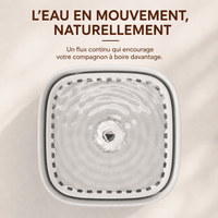 Miaou & Co Fontaine à Eau pour Chat Ultra Silencieuse 3L