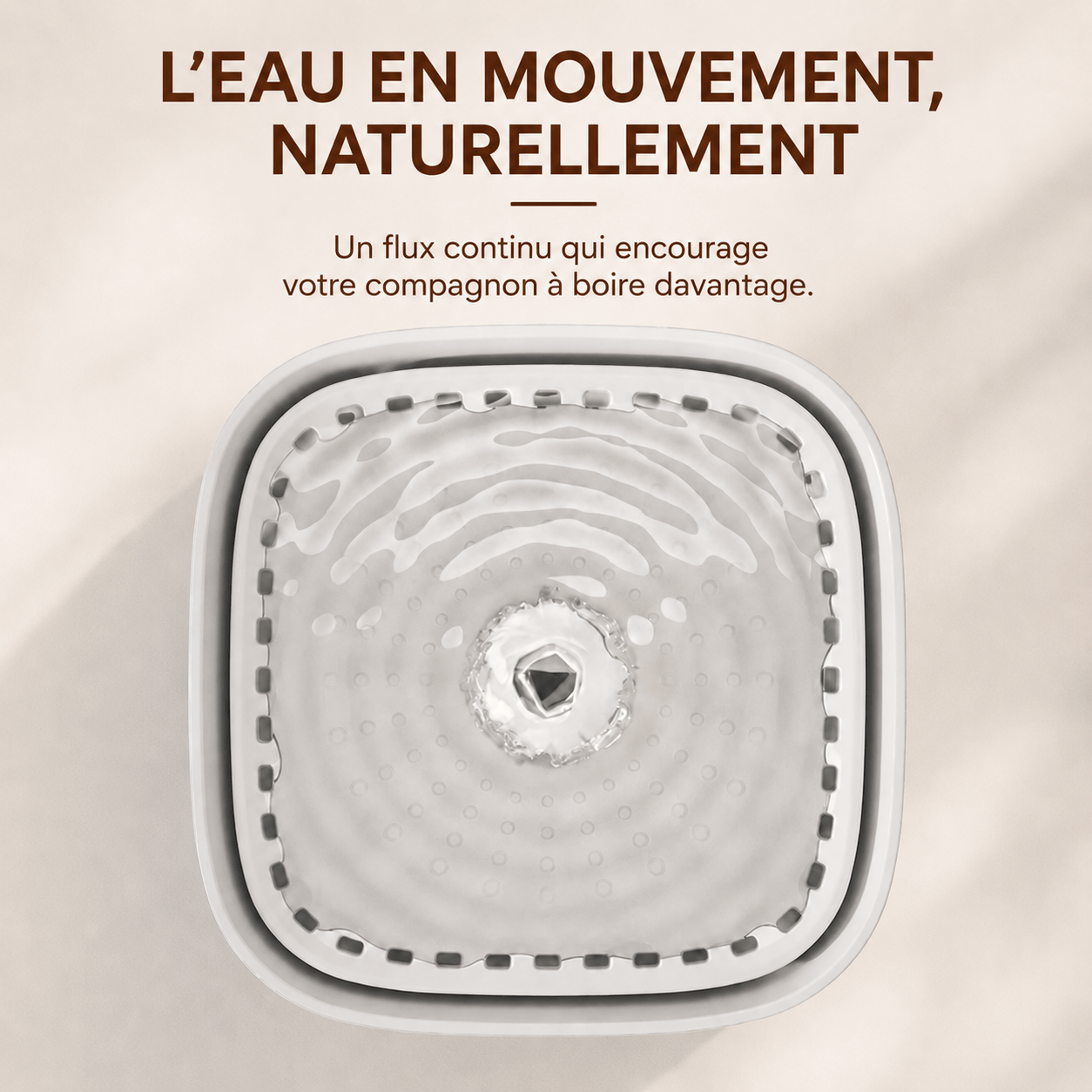 Miaou & Co Fontaine à Eau pour Chat Ultra Silencieuse 3L