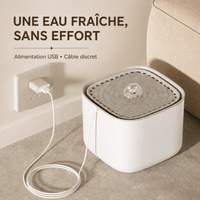 Miaou & Co Fontaine à Eau pour Chat Ultra Silencieuse 3L