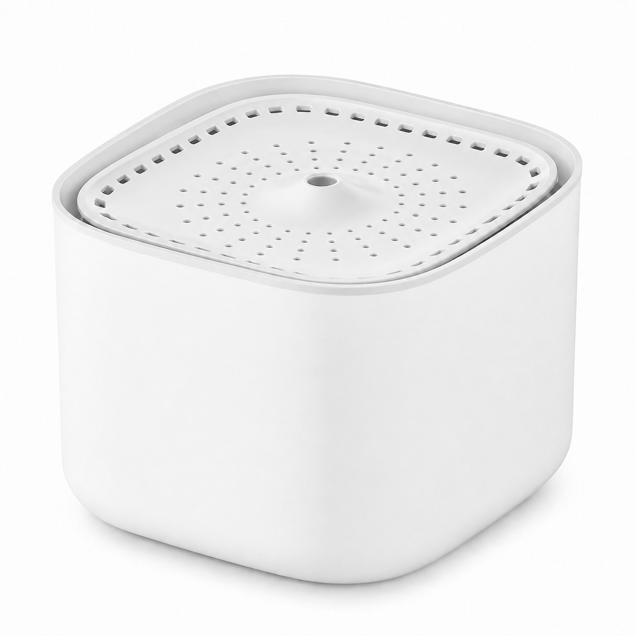 Miaou & Co Fontaine à Eau pour Chat Ultra Silencieuse 3L