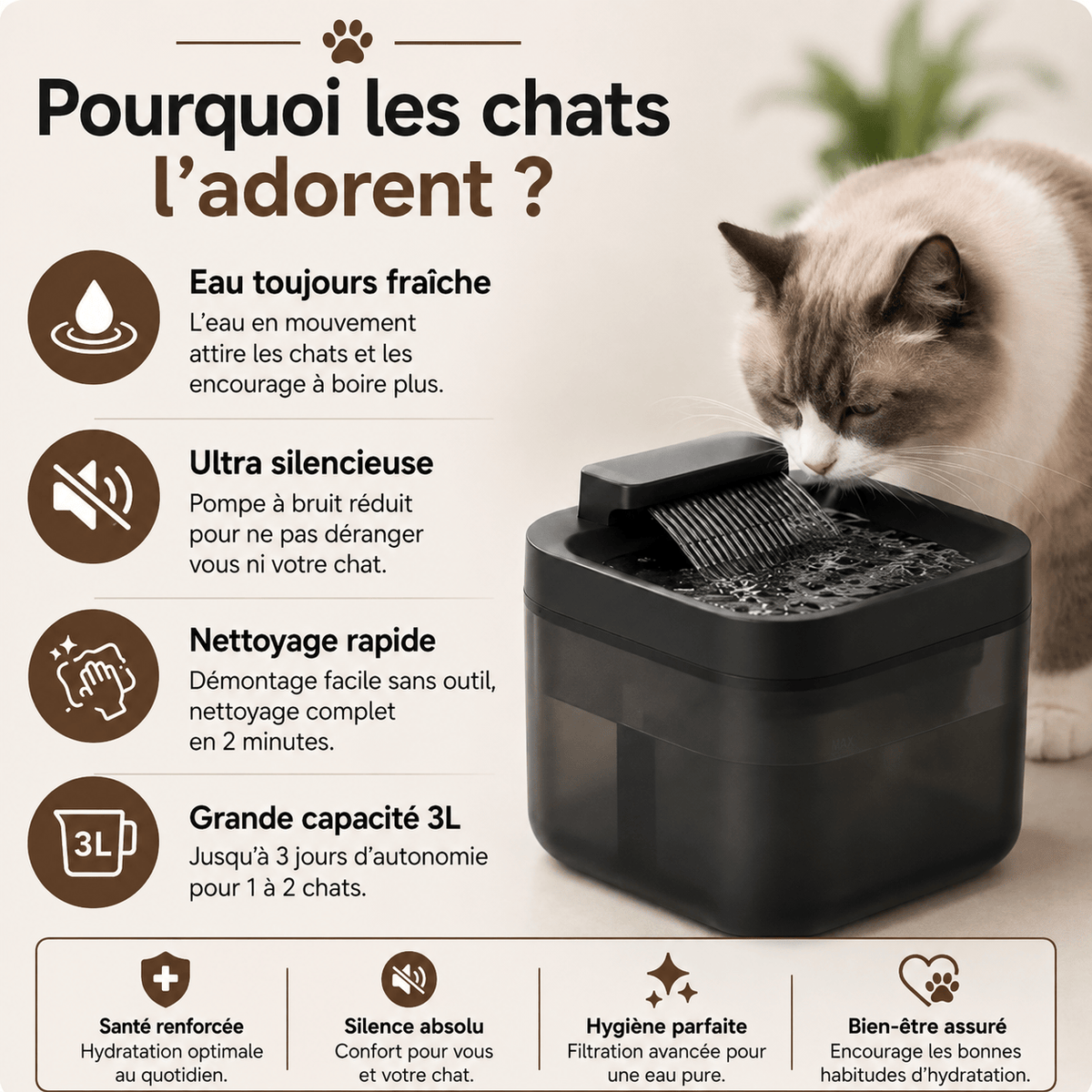 Miaou & Co Fontaine à Eau pour Chat USB 3L