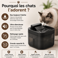 Miaou & Co Fontaine à Eau pour Chat USB 3L