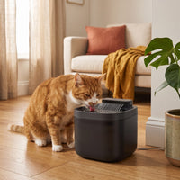 Miaou & Co Fontaine à Eau pour Chat USB 3L