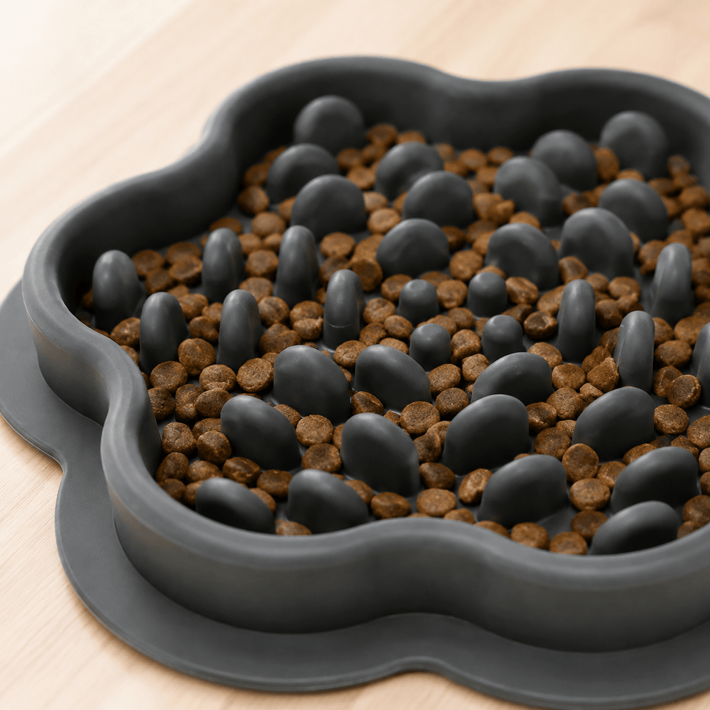 Miaou & Co Gamelle Anti-Glouton Chat en Silicone