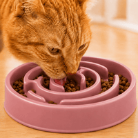 Miaou & Co Gamelle Anti-Glouton en Plastique - Réduction des Vomissements