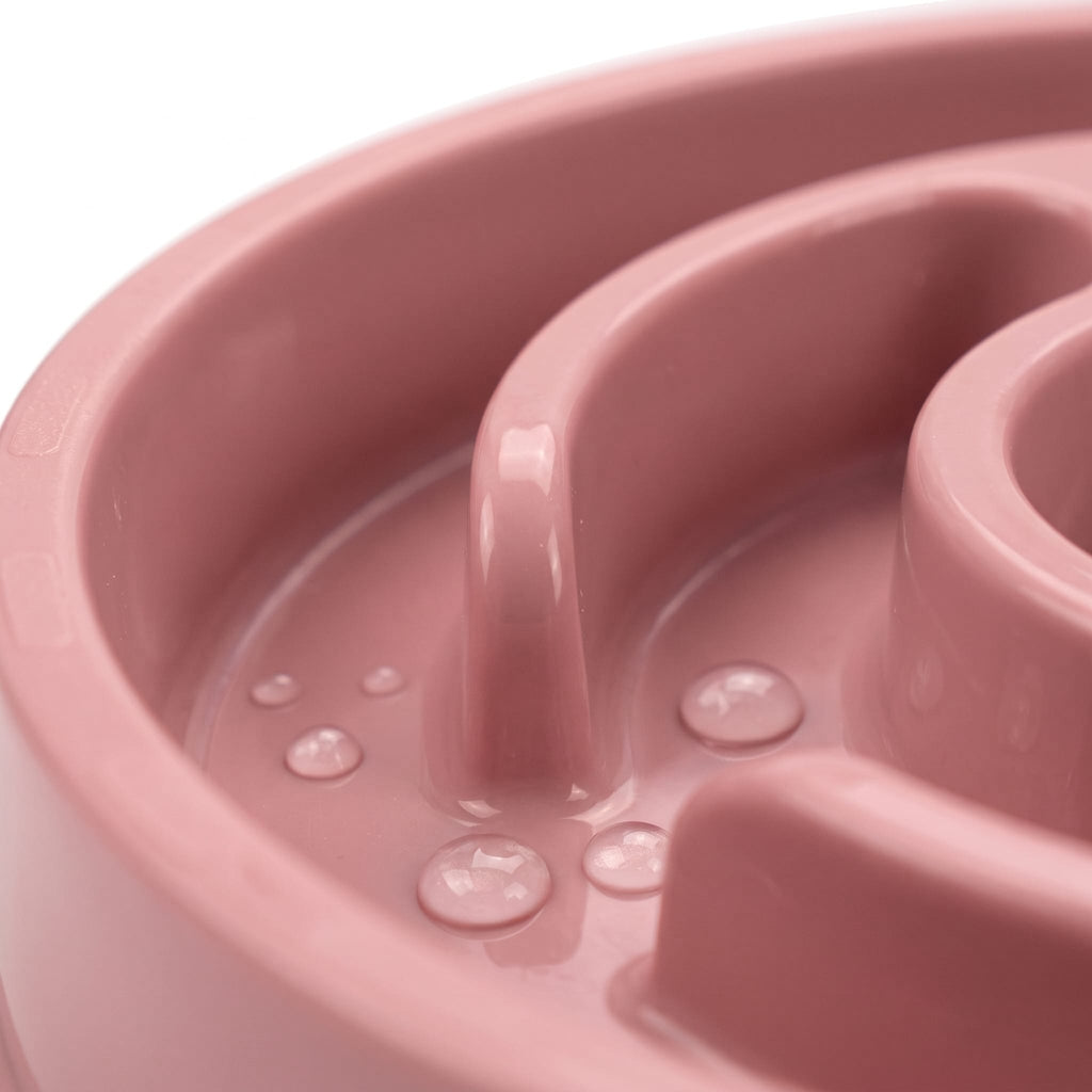 Miaou & Co Gamelle Anti-Glouton en Plastique - Réduction des Vomissements