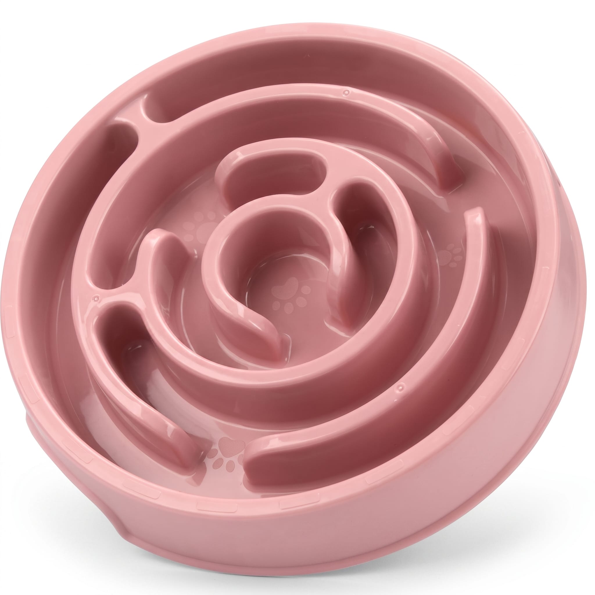 Miaou & Co Gamelle Anti-Glouton en Plastique - Réduction des Vomissements