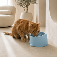 Miaou & Co Gamelle Anti-Glouton Surélevée pour Chat
