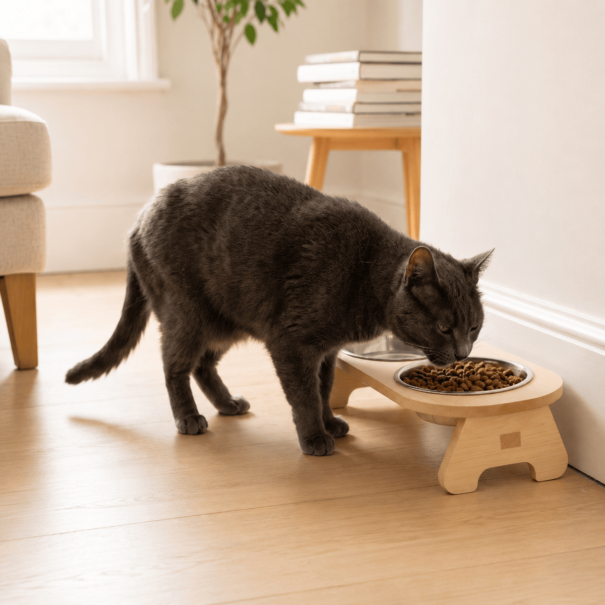 Miaou & Co Gamelle Chat Surélevée Bois Image