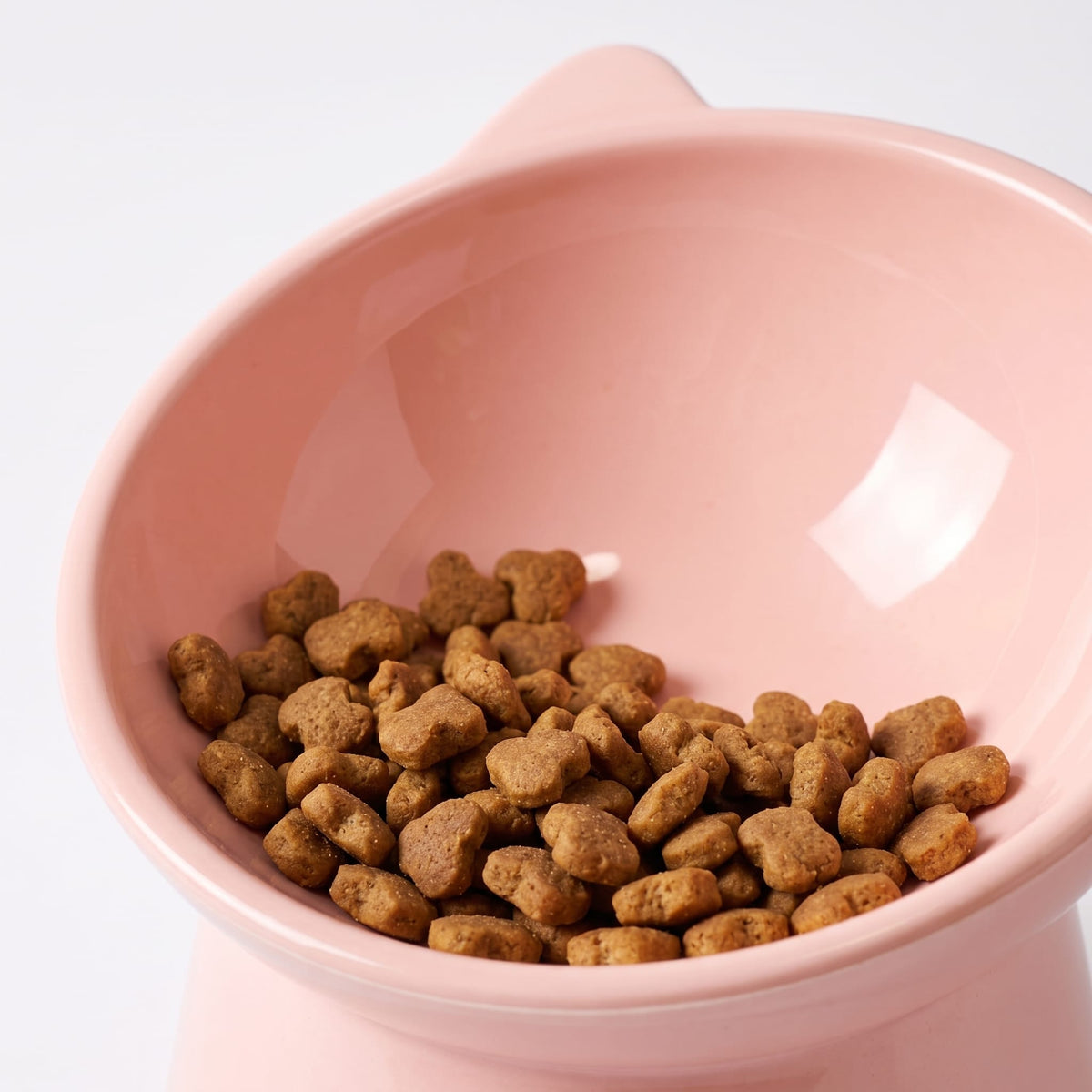 Miaou & Co Gamelle Chat Surélevée Inclinée - Anti-Fatigue Cervicale